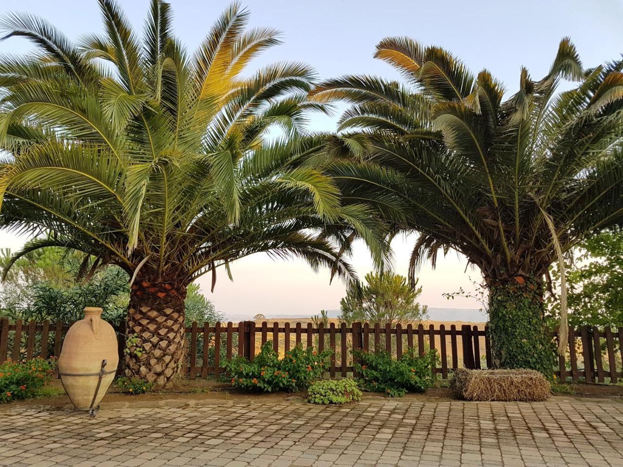 Agriturismo Il Drago Mirabella Imbaccari المظهر الخارجي الصورة